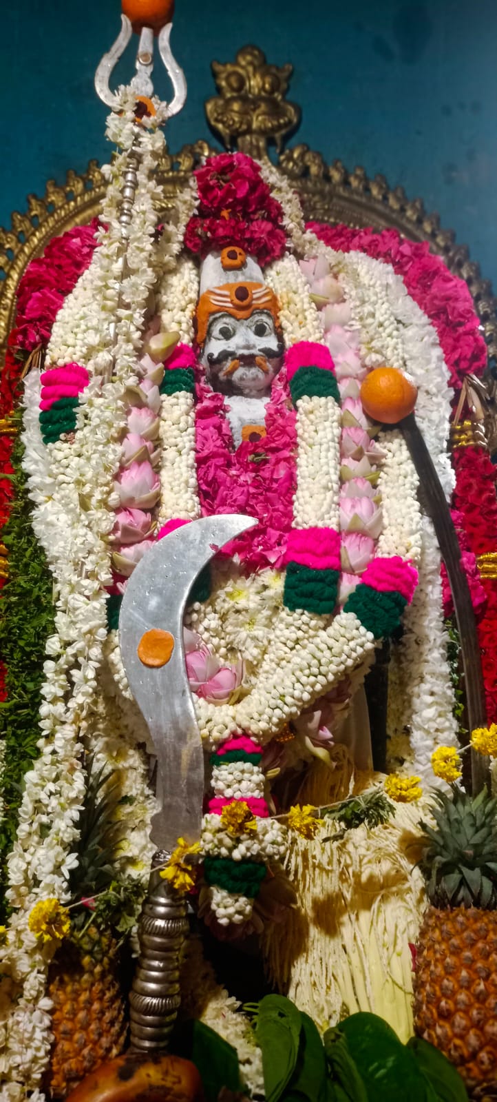 Gallery Image 11